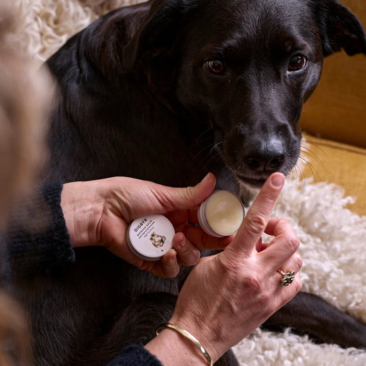 Bramley Digby Wonder Balm