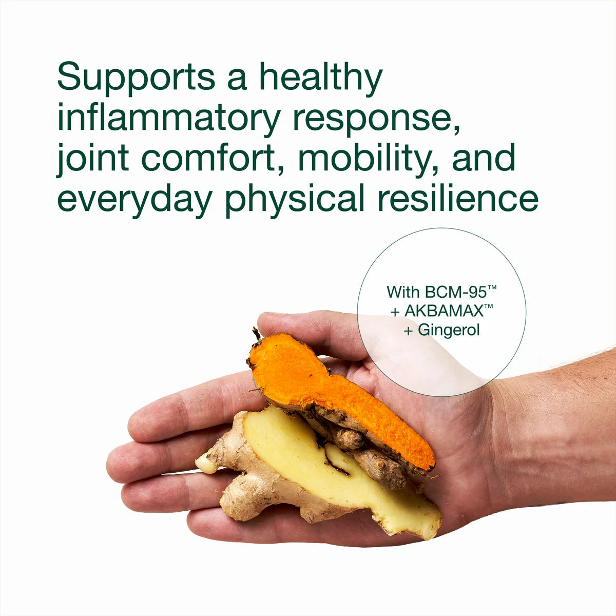 Natroceutics Curcumin Fortified