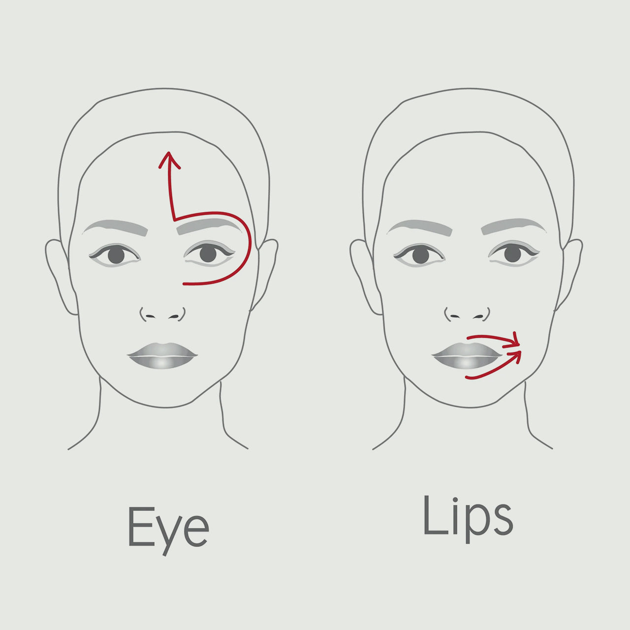 Dr. LEVY Switzerland The Contour Pro