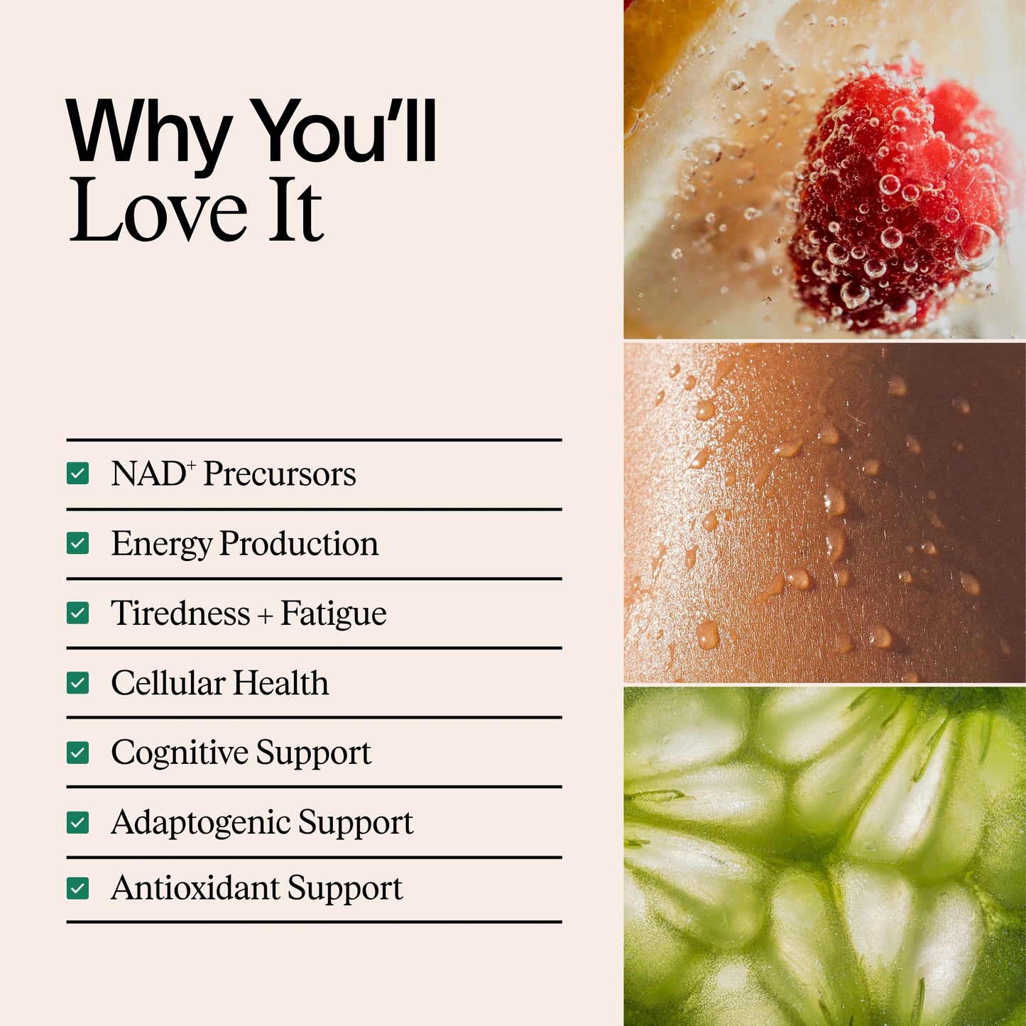 ARTAH Enhanced NAD+ Complex