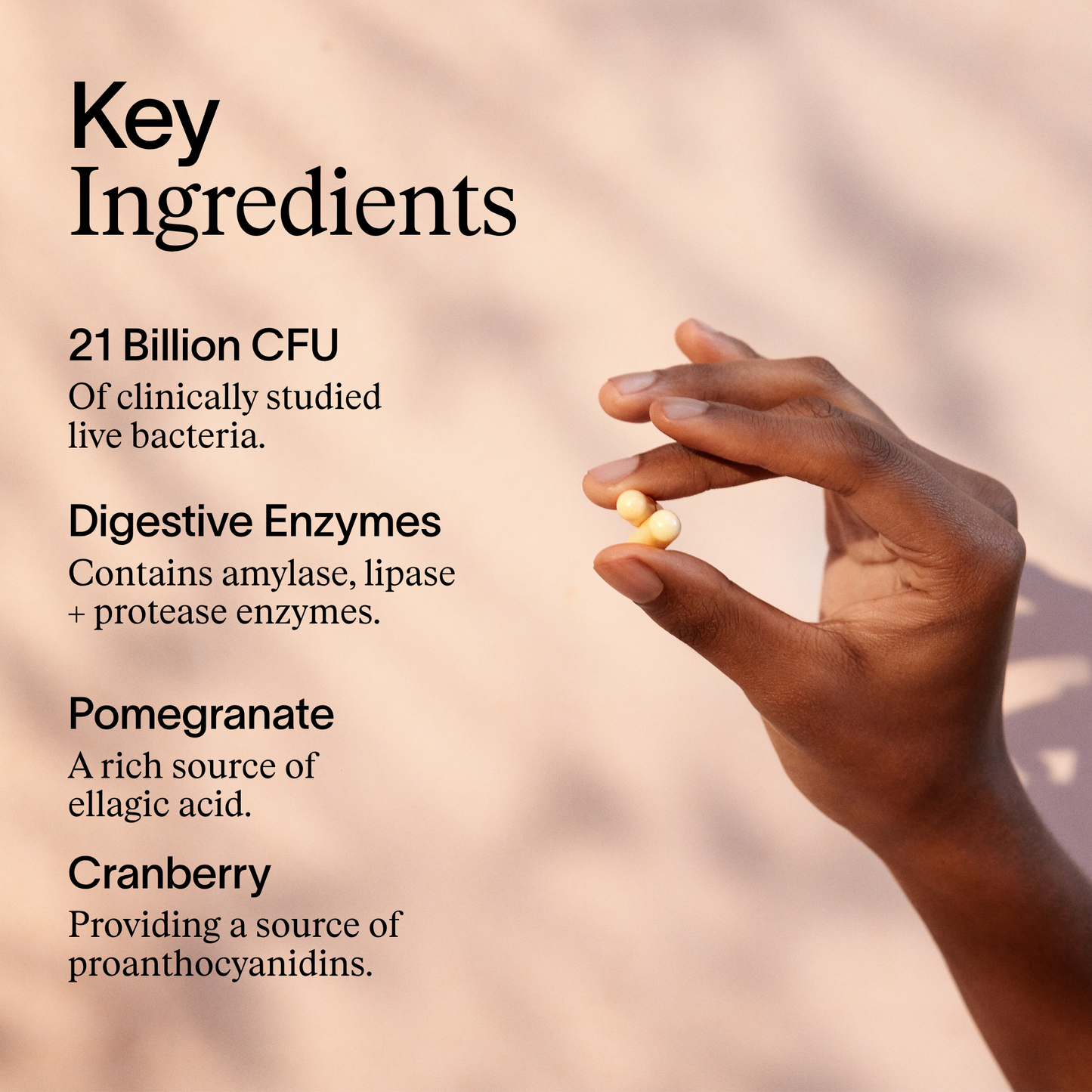 ARTAH Enhanced Synbiotic