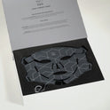faceLITE PRO LED Face Mask