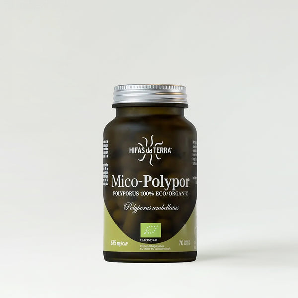 Hifas da Terra Mico-Polypor