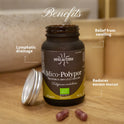Hifas da Terra Mico-Polypor