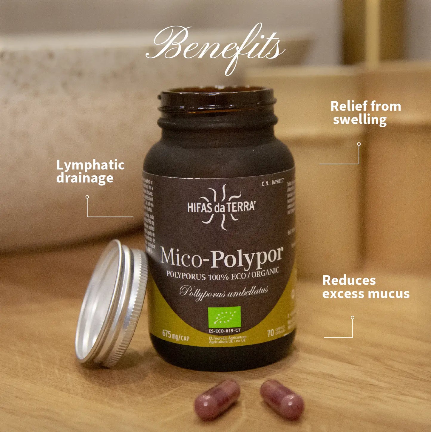 Hifas da Terra Mico-Polypor