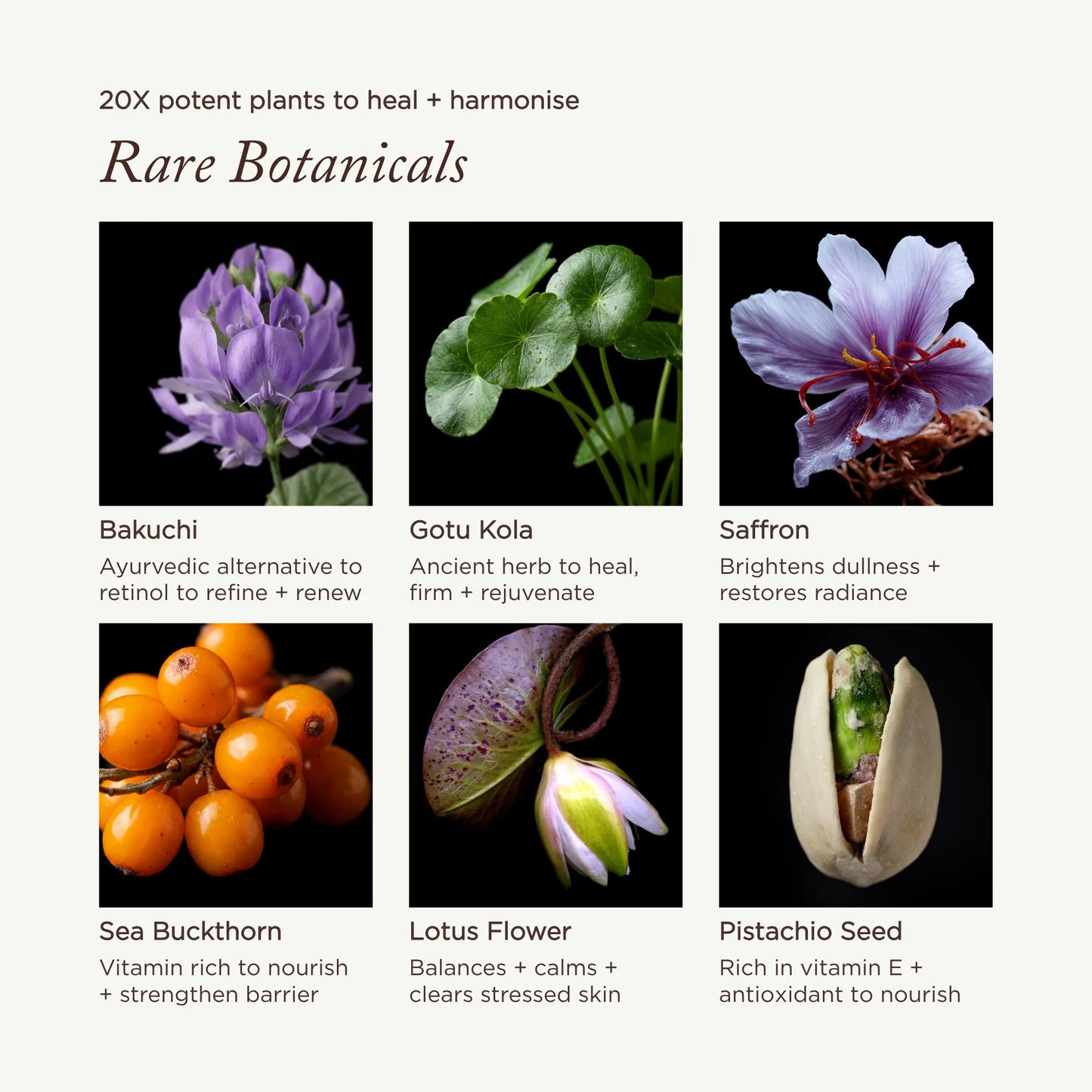 Mauli Rituals Lotus & Bakuchi Skin Harmony Cream