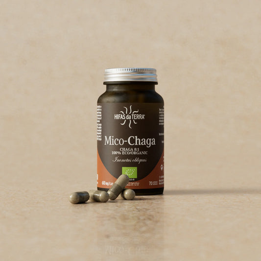 Hifas da Terra Mico-Chaga