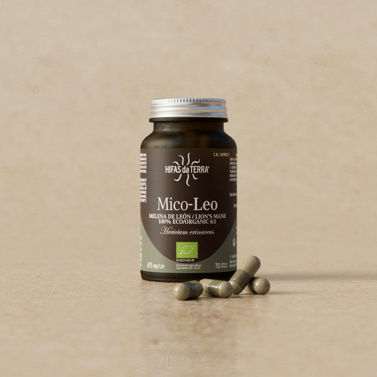 Hifas da Terra Mico-Leo