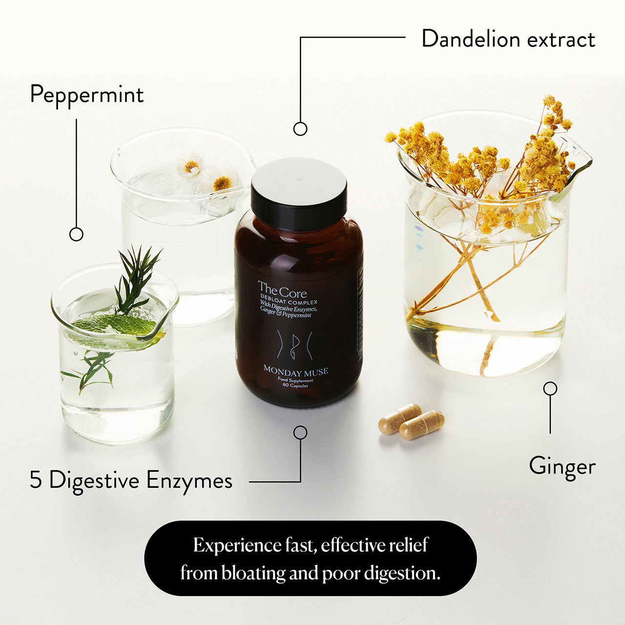 Monday Muse The Core - Debloat Complex