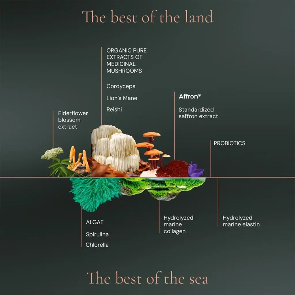 Hifas da Terra Optimum