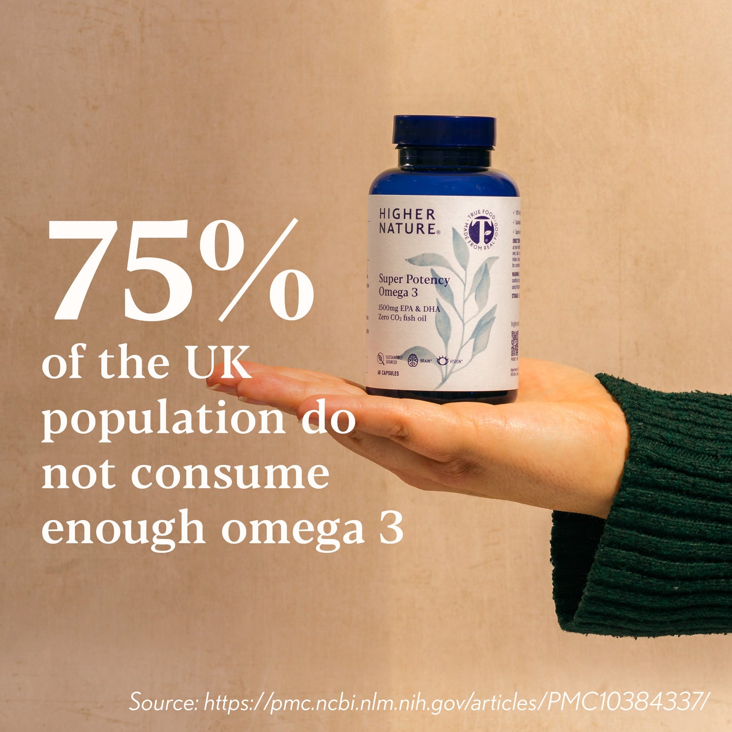 Higher Nature Super Potency Omega 3