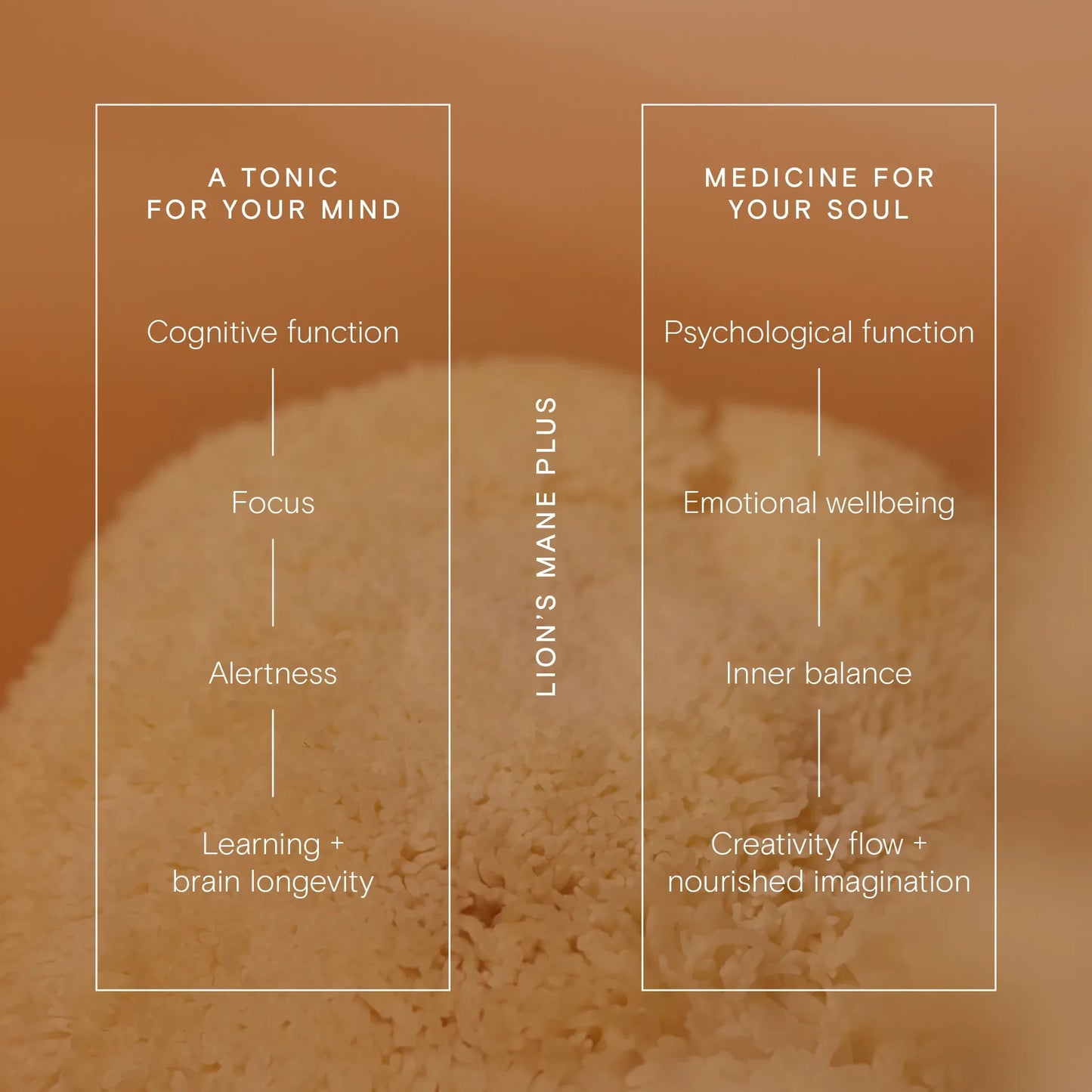 Wild Nutrition Lion's Mane Plus