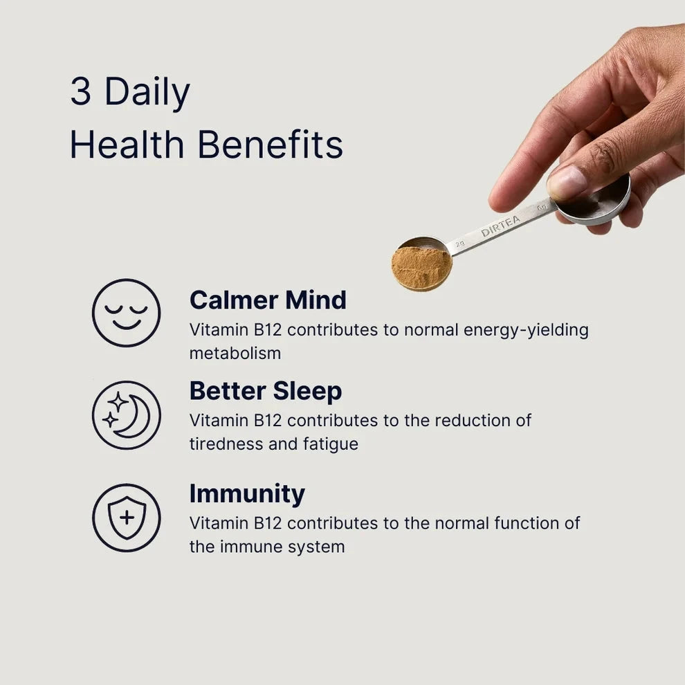 DIRTEA DIRTEA Reishi Mushroom Powder