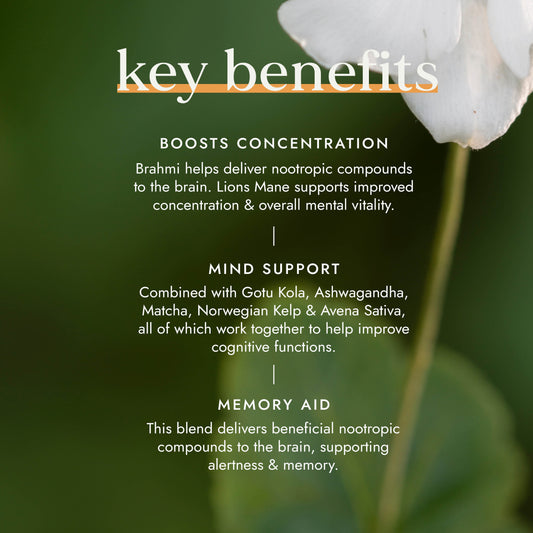 FUSHI Fushi Nootropic Blend