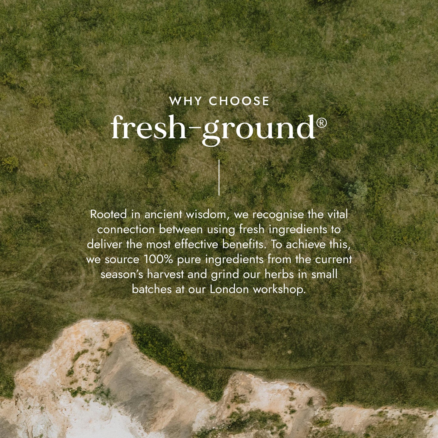 FUSHI Fushi  Organic Gurmar Leaf