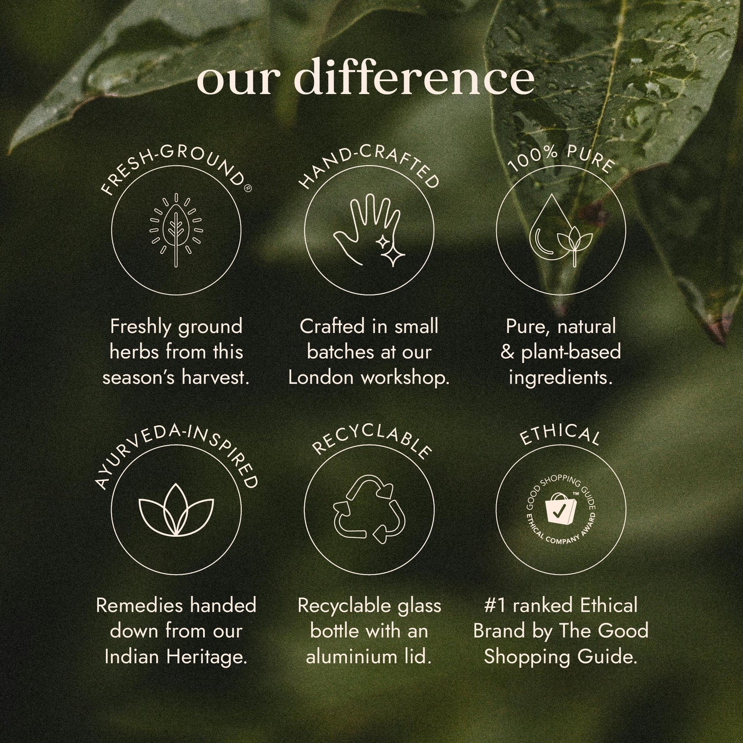 FUSHI Fushi Organic Saw Palmetto