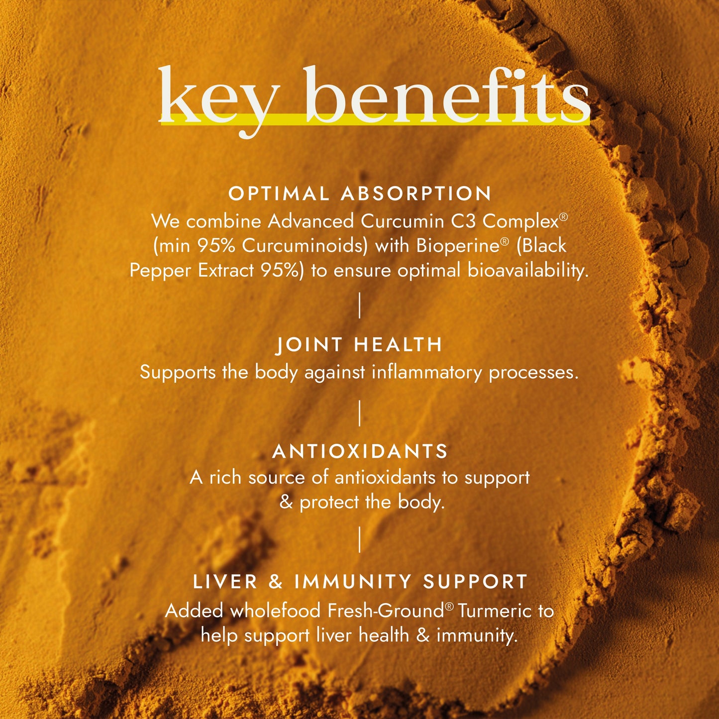 FUSHI Fushi Turmeric Blend