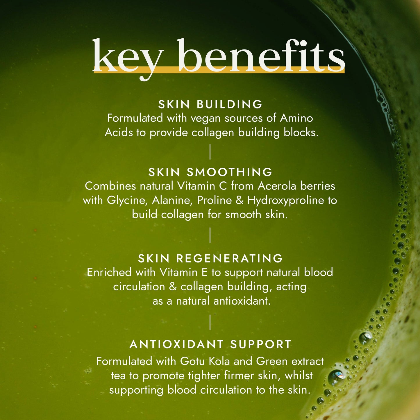 FUSHI Fushi Vegan Collagen Builder
