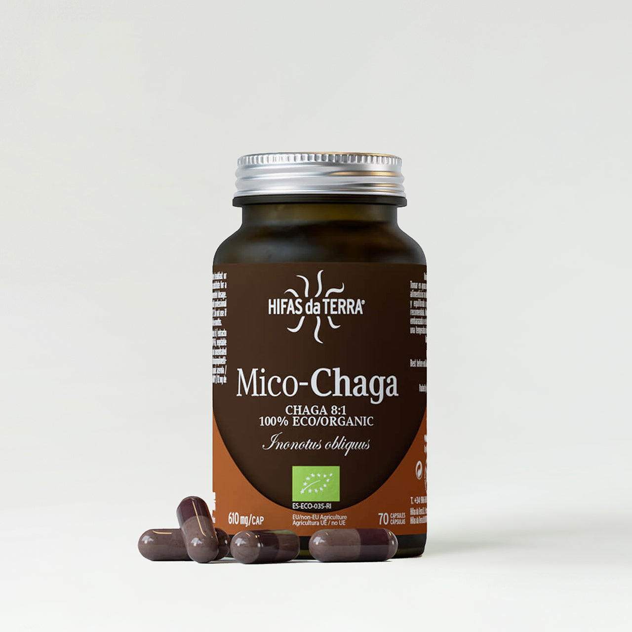 Hifas da Terra Hifas da Terra Mico-Chaga