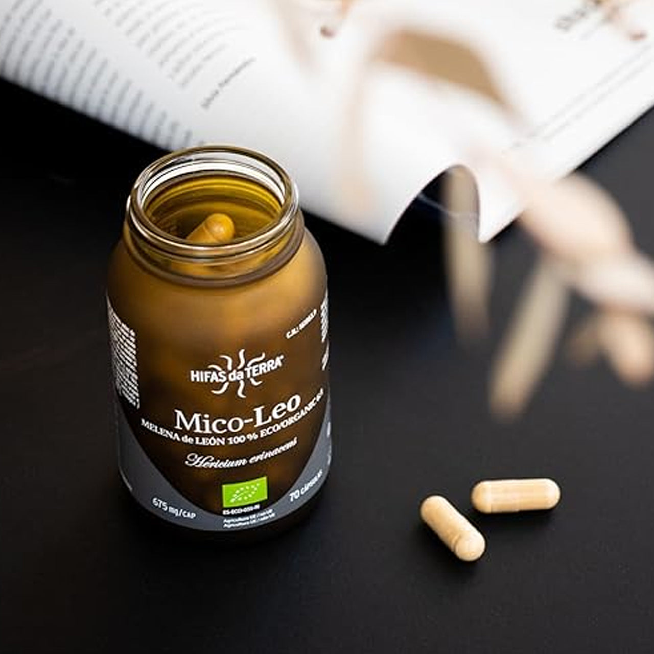 Hifas da Terra Mico-Leo – W-Wellness