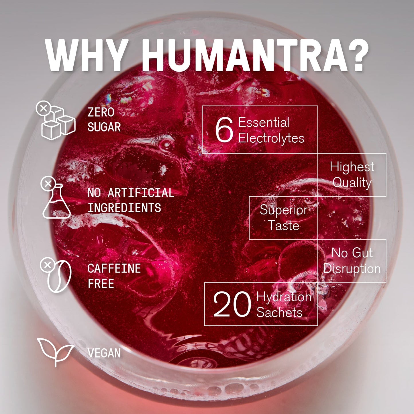 Humantra Humantra Elderberry