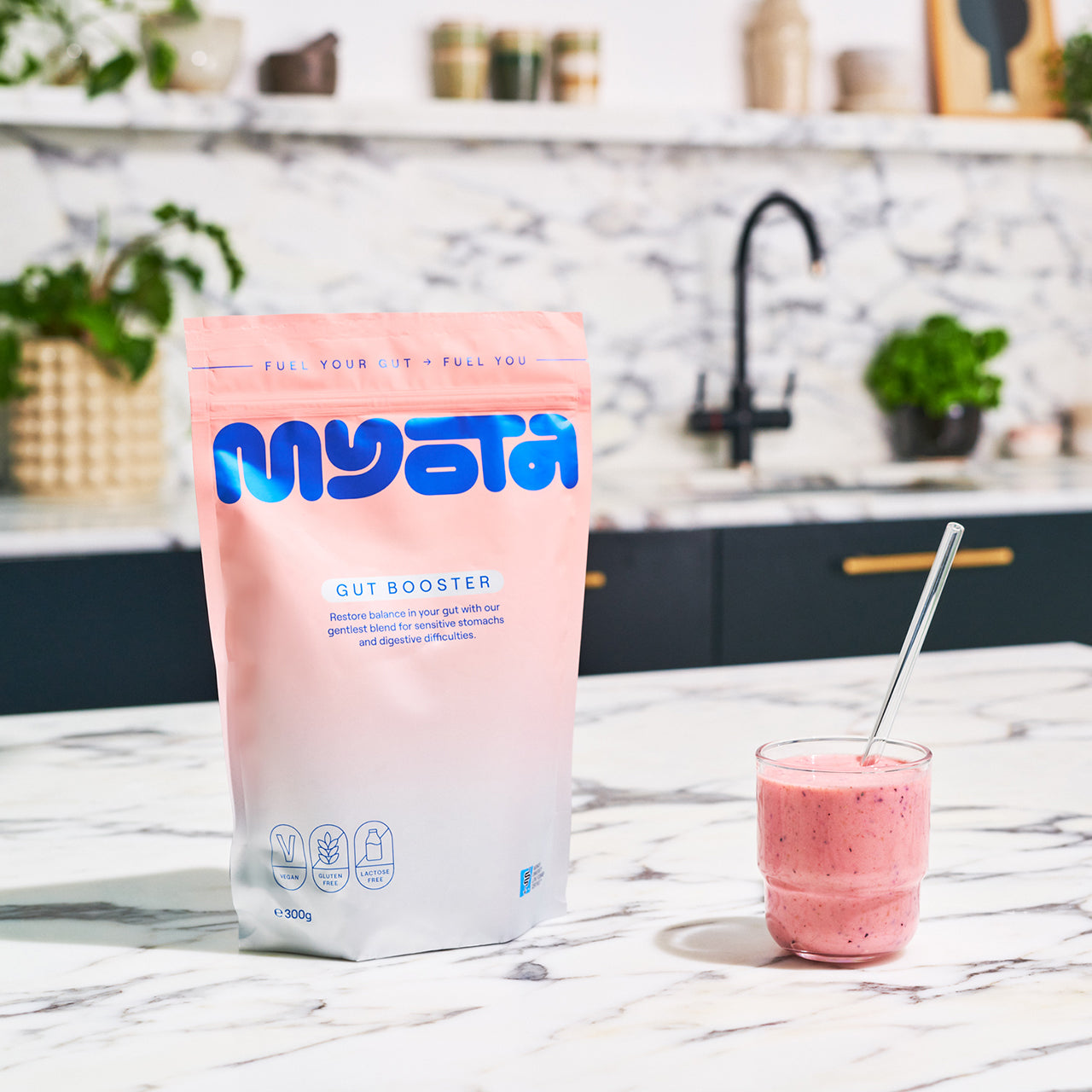 Myota Myota Gut Booster