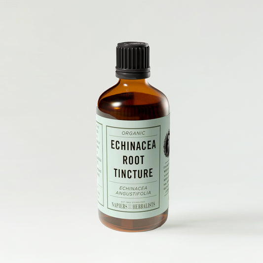 Napiers Napiers Echinacea Tincture (Echinacea angustifolia)