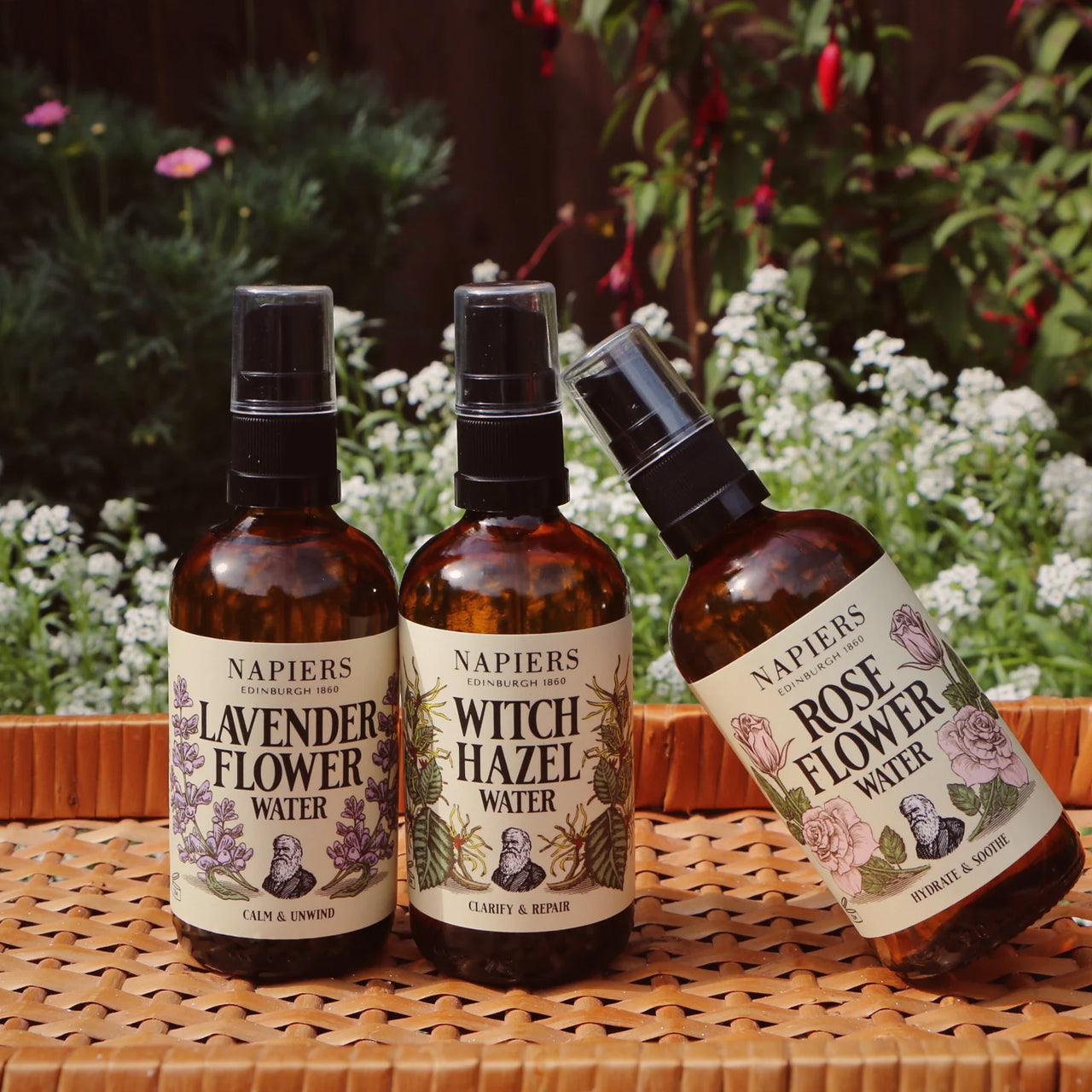 Napiers Napiers Witch Hazel Water